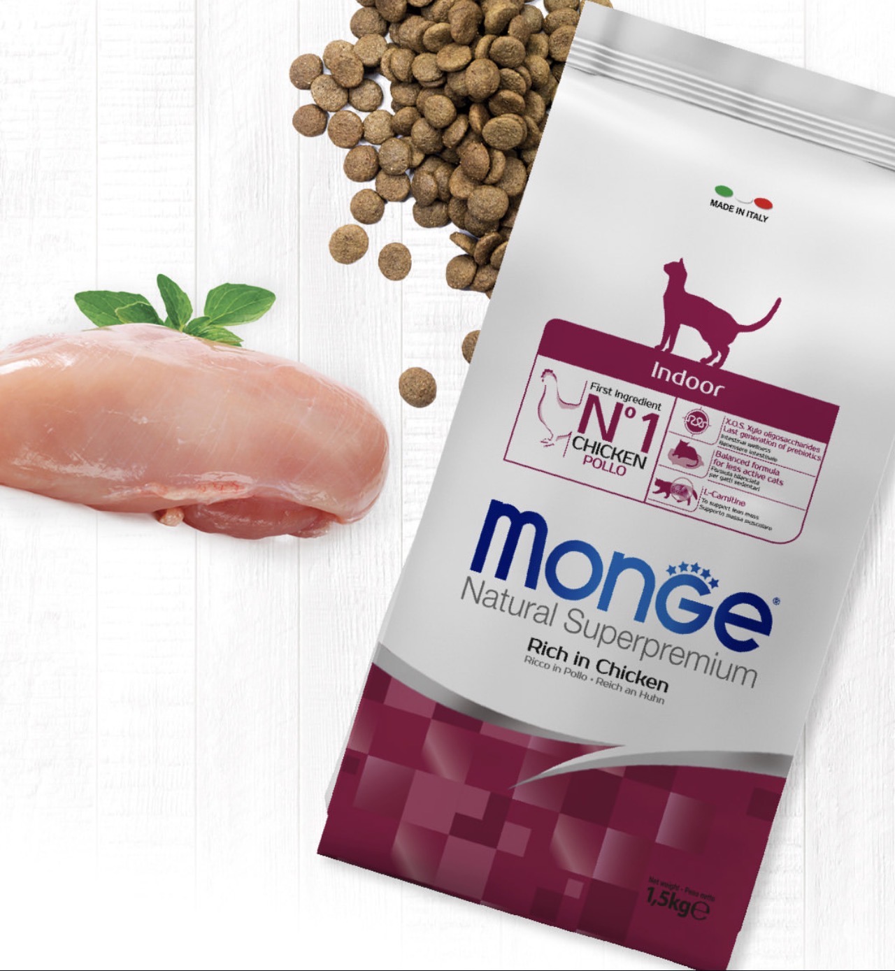 Monge indoor chicken